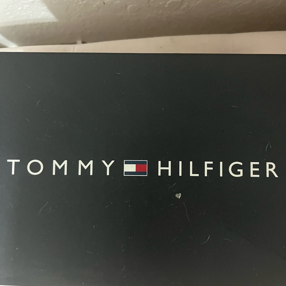 tommy hilifiger sneakers